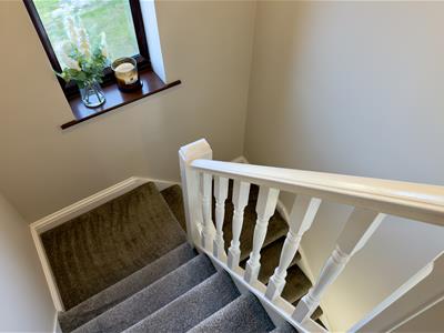 Picture 13